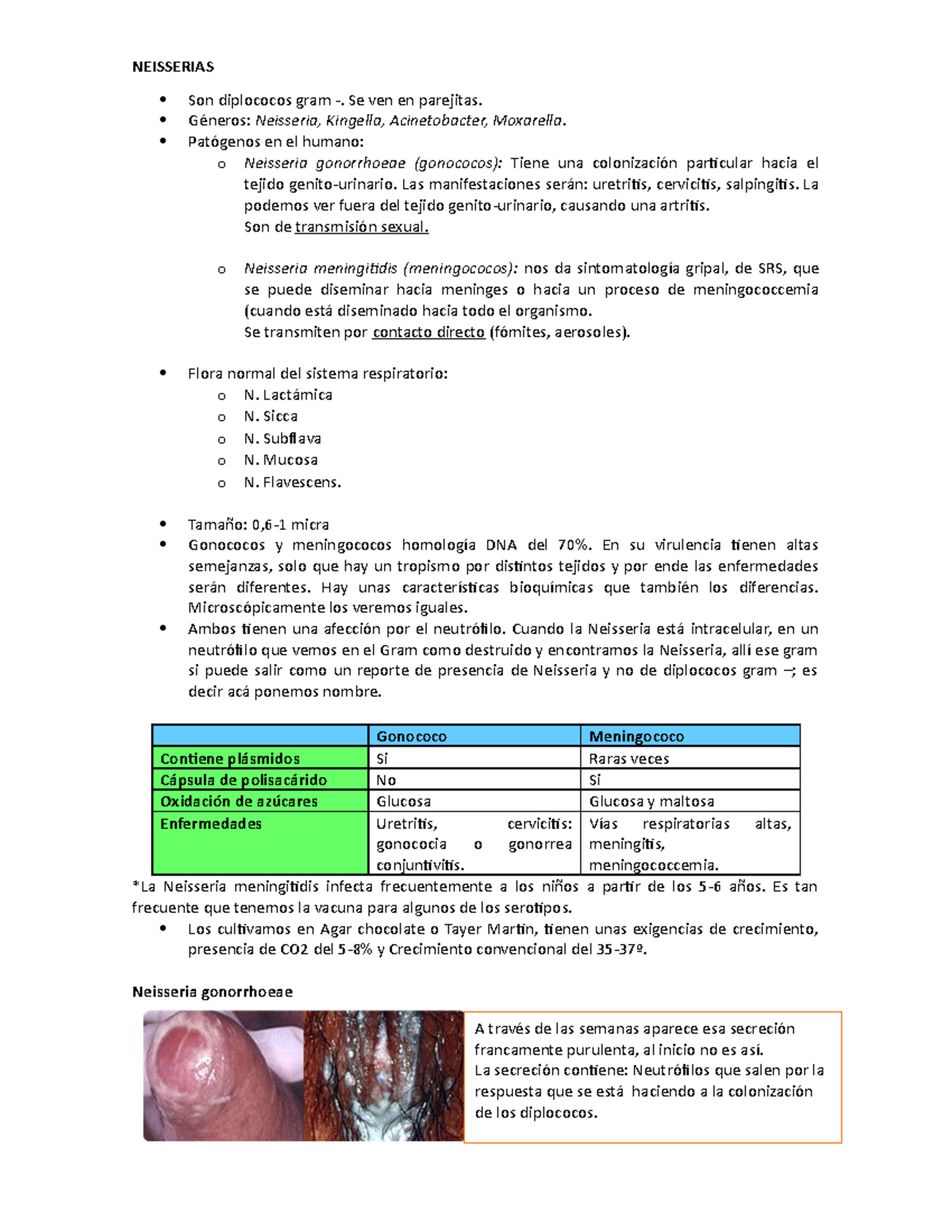 Neisseria gonorrhoeae uretritis Neisseria gonorrhoeae uretritis
