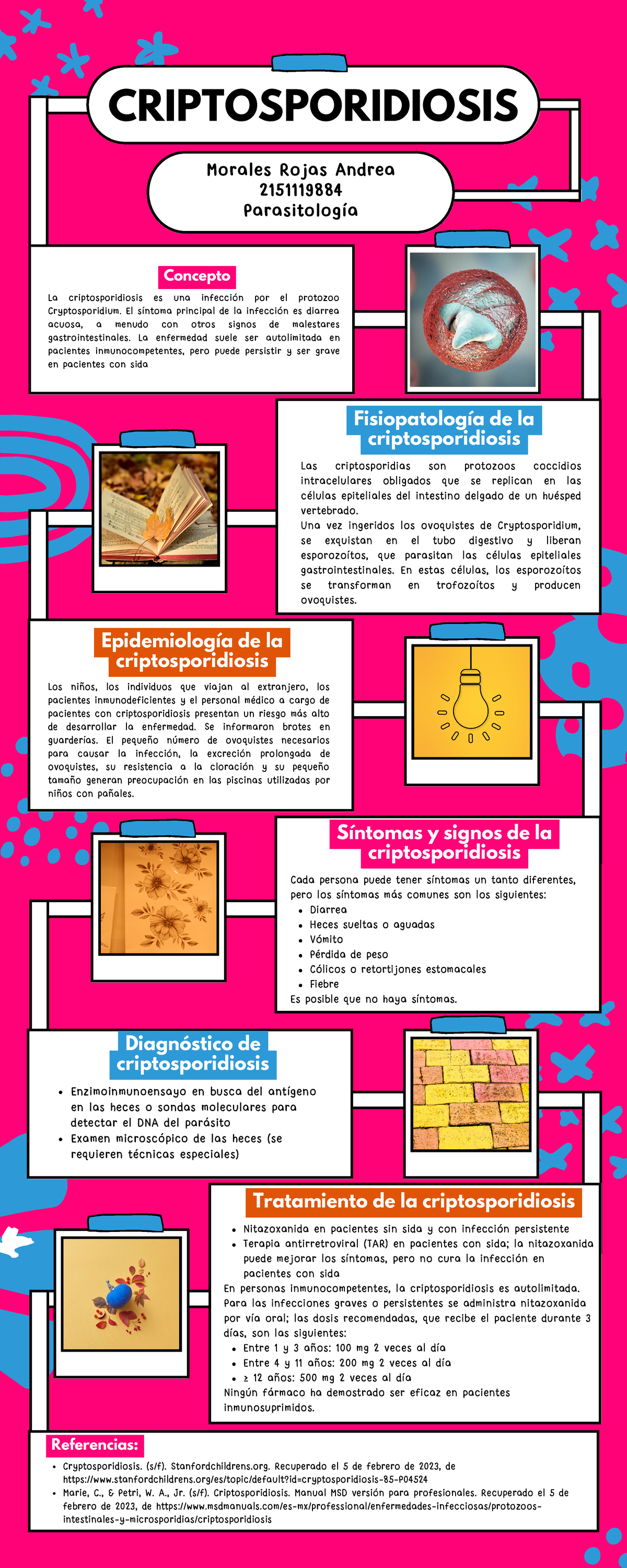 Criptosporidiosis - La infografía es la disciplina que trata sobre los ...