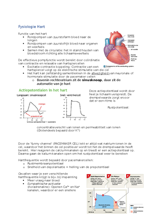 Anatomy of respiration - HCG Anatomy of respiratory system Functions ...