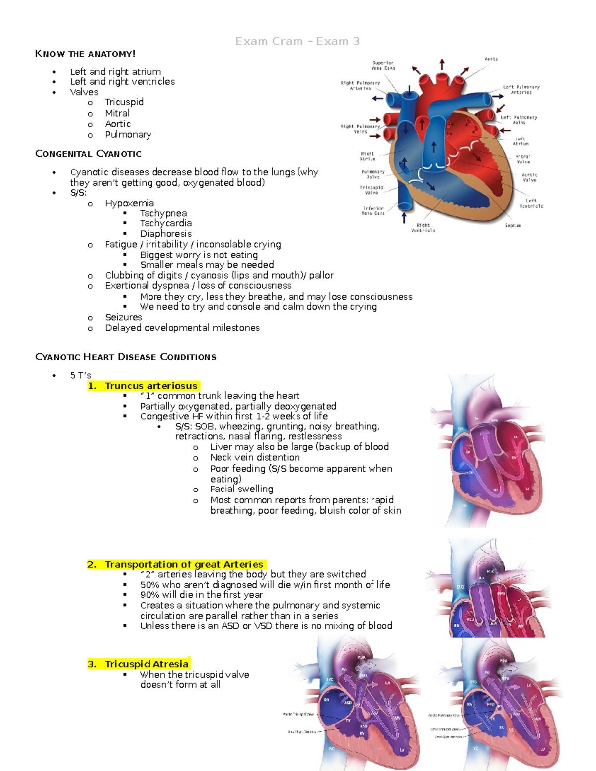 EXAM 3 EXAM CRAM - Cardiac Exam Cram - KNOW THE ANATOMY! Left and right ...