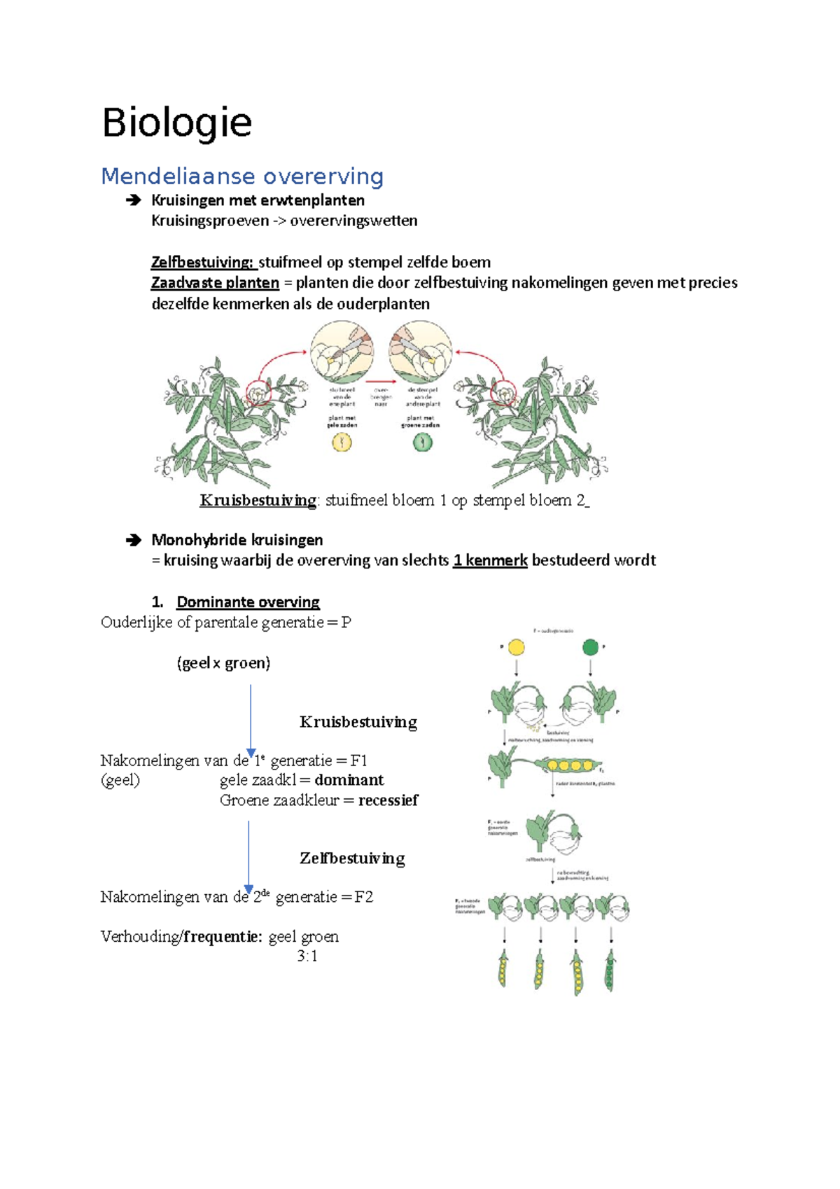 1.chromosomale Mechanismen En Overerving - Biologie Mendeliaanse ...