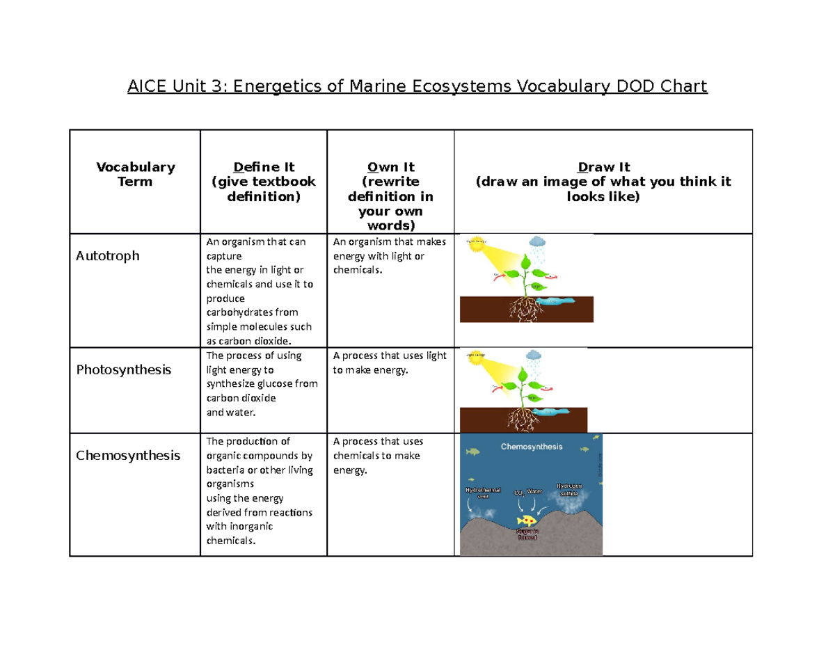 AICE Unit 3 Vocabulary DOD Chart AICE Unit 3 Energetics of Marine