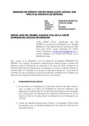 Demanda DE Amparo - DEMANDA DE AMPARO CONTRA RESOLUCION JUDICIAL QUE AFECTA  EL DERECHO DE DEFENSA - Studocu