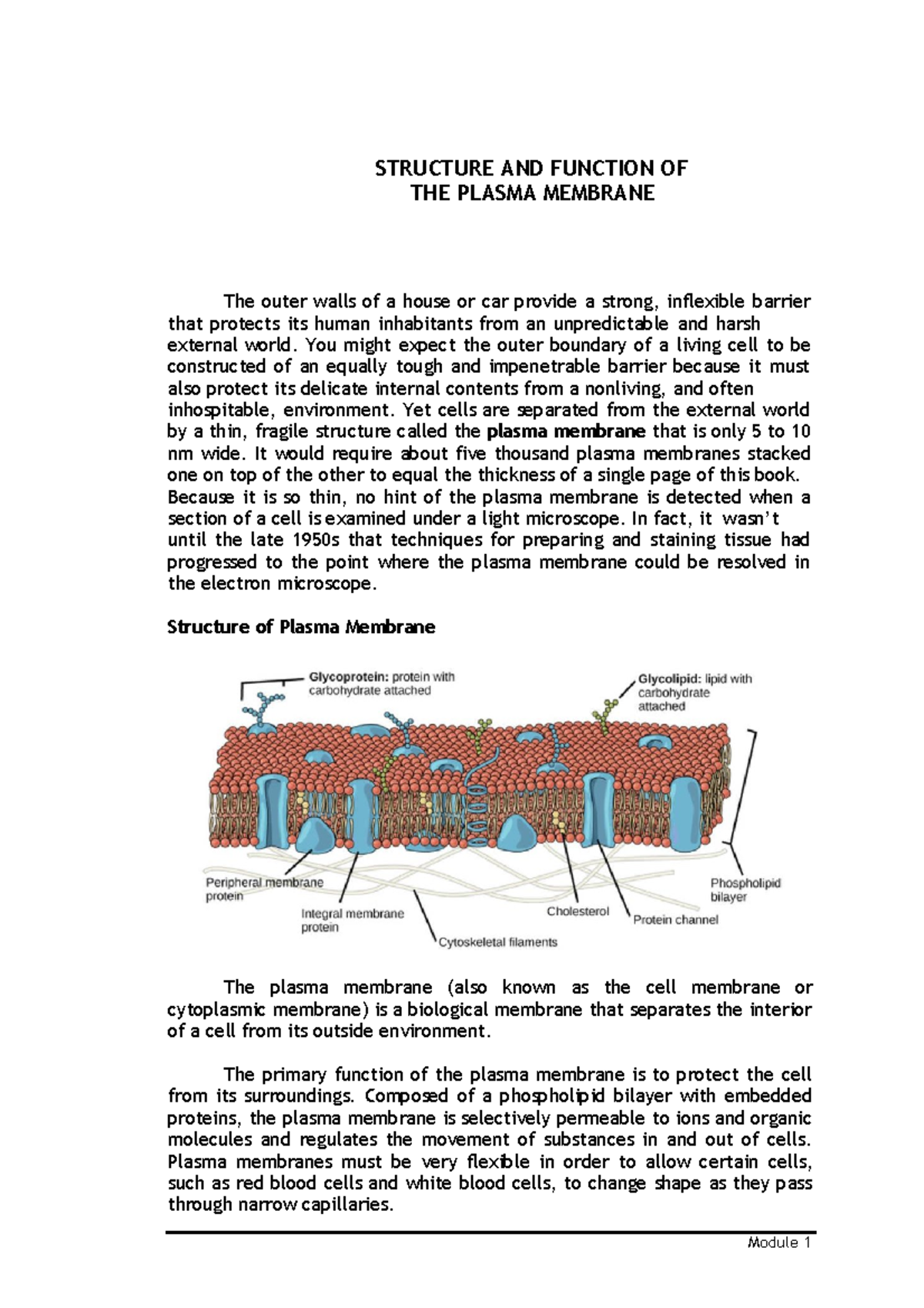 Plasma Membrane - Module 1 STRUCTURE AND FUNCTION OF THE PLASMA ...