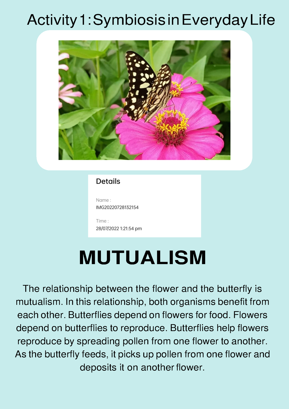 mutualism a textbook case study answer key