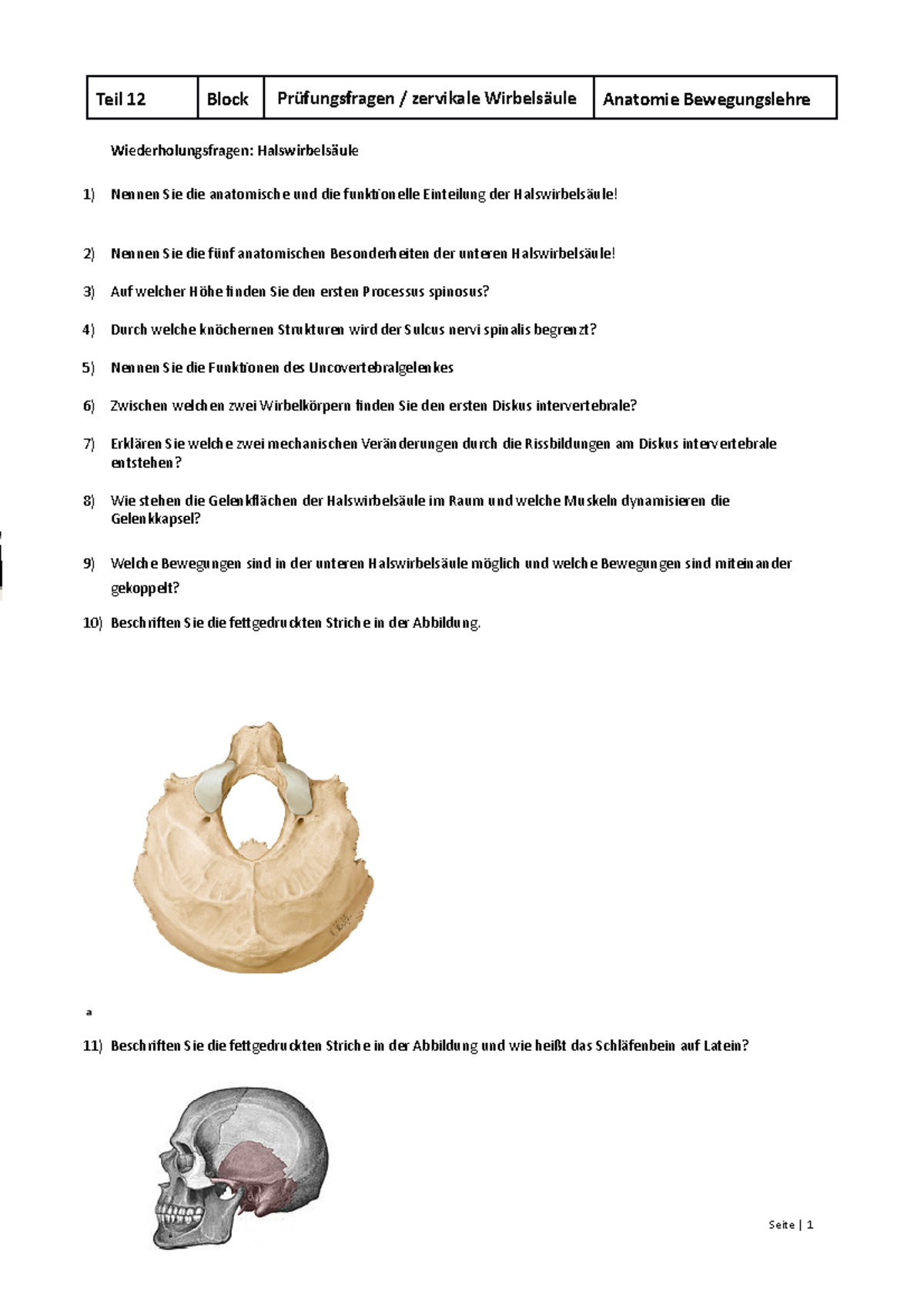 Prüfungsfragen HWS Fragen Teil 12 Block Prüfungsfragen zervikale Wirbelsäule Anatomie Studocu