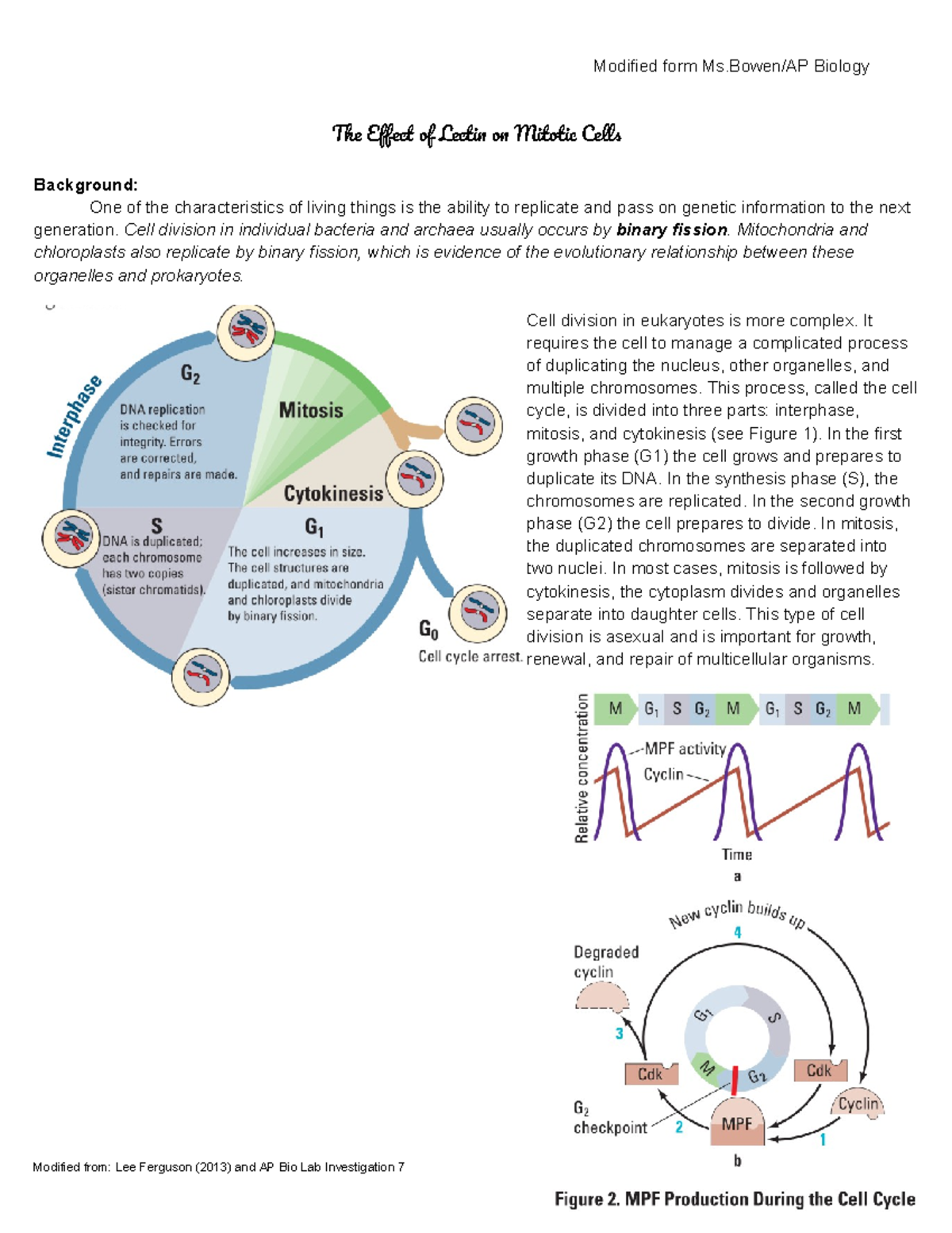 Mitosis in Onion Cells Lab ChiSquare Modified form Ms/AP Biology The Effect of Lectin on