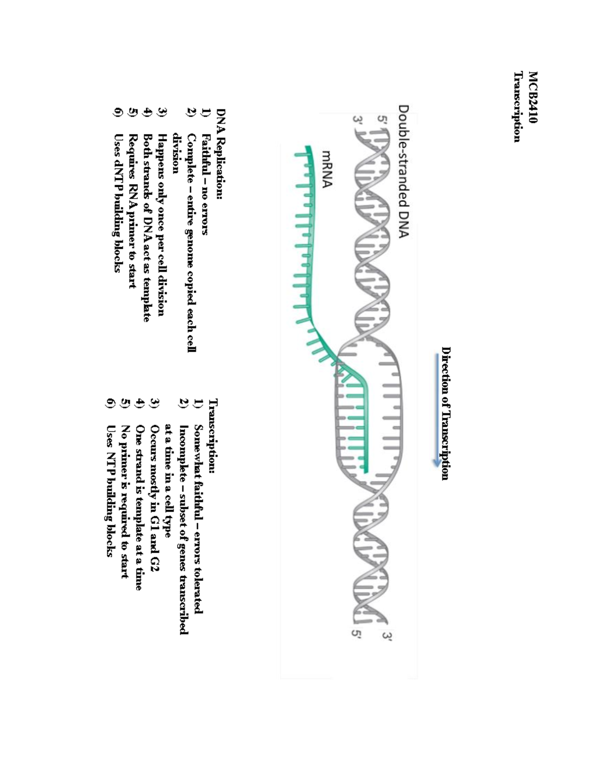 MCB2410 Tscript Worksheet Packet F17Week7 - TranscriptionMCB 2410 ...