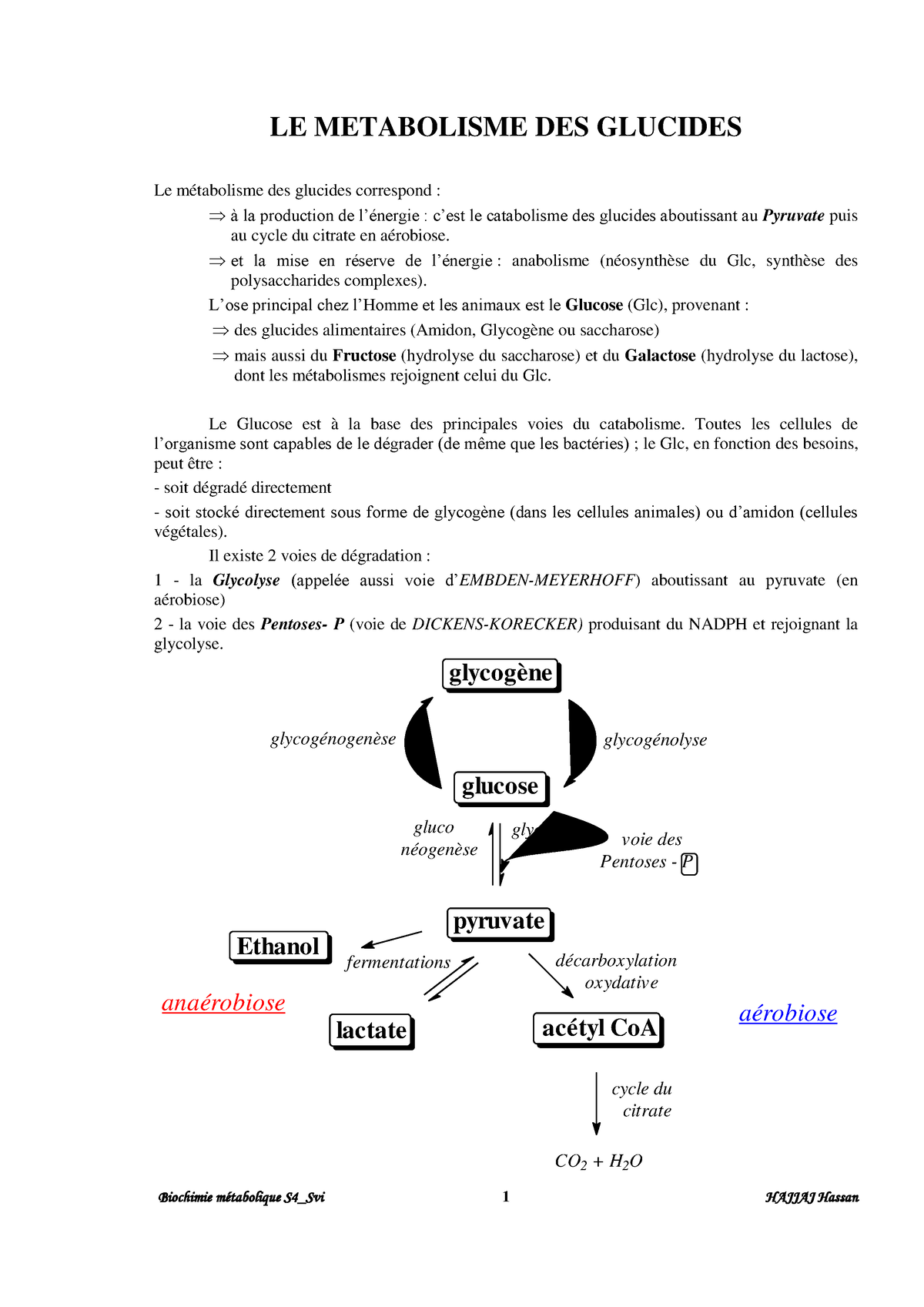 SVI S4 Biochimie Métabolique Hajjaj - LE METABOLISME DES GLUCIDES Le ...