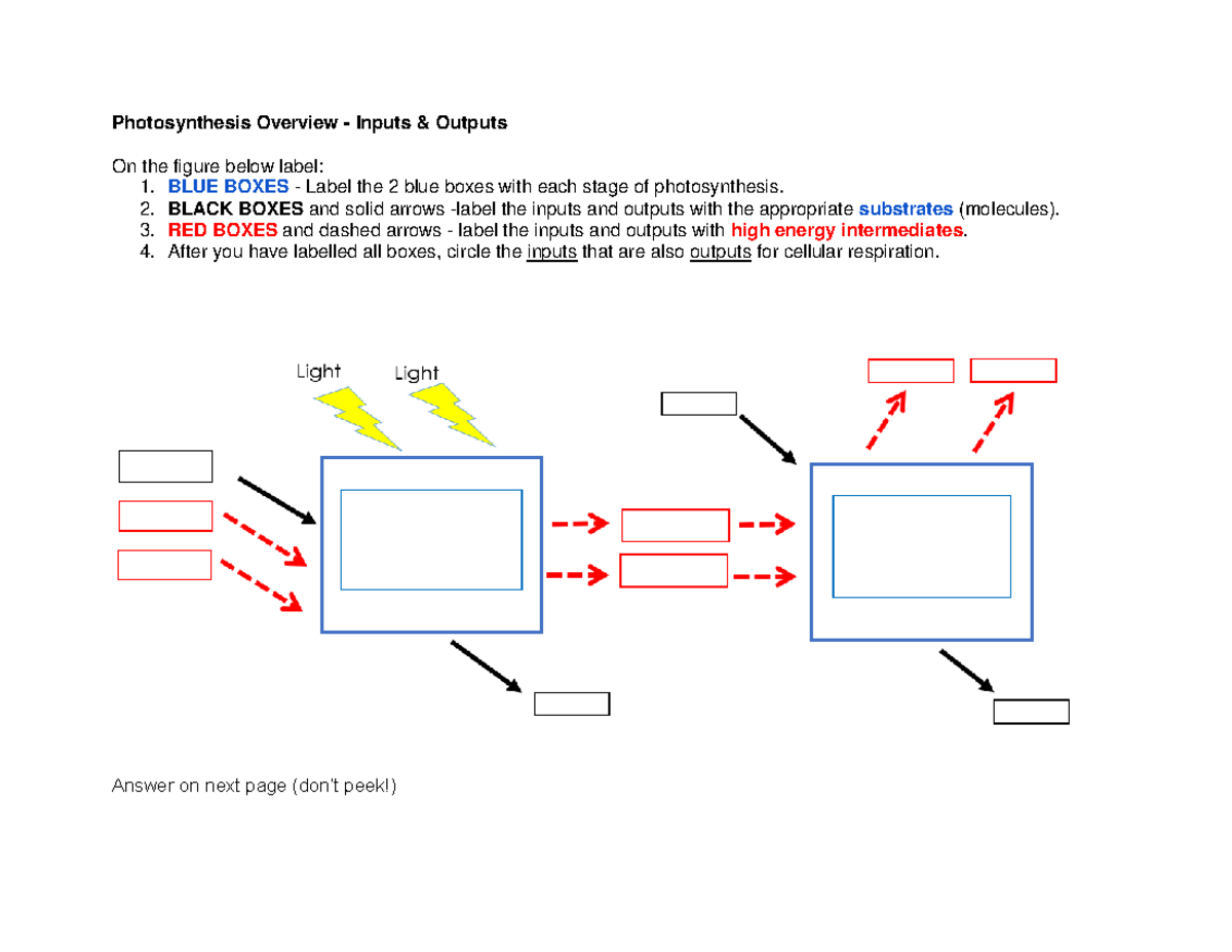 Photosynthesis Overview - Inputs Outputs - Photosynthesis Overview ...