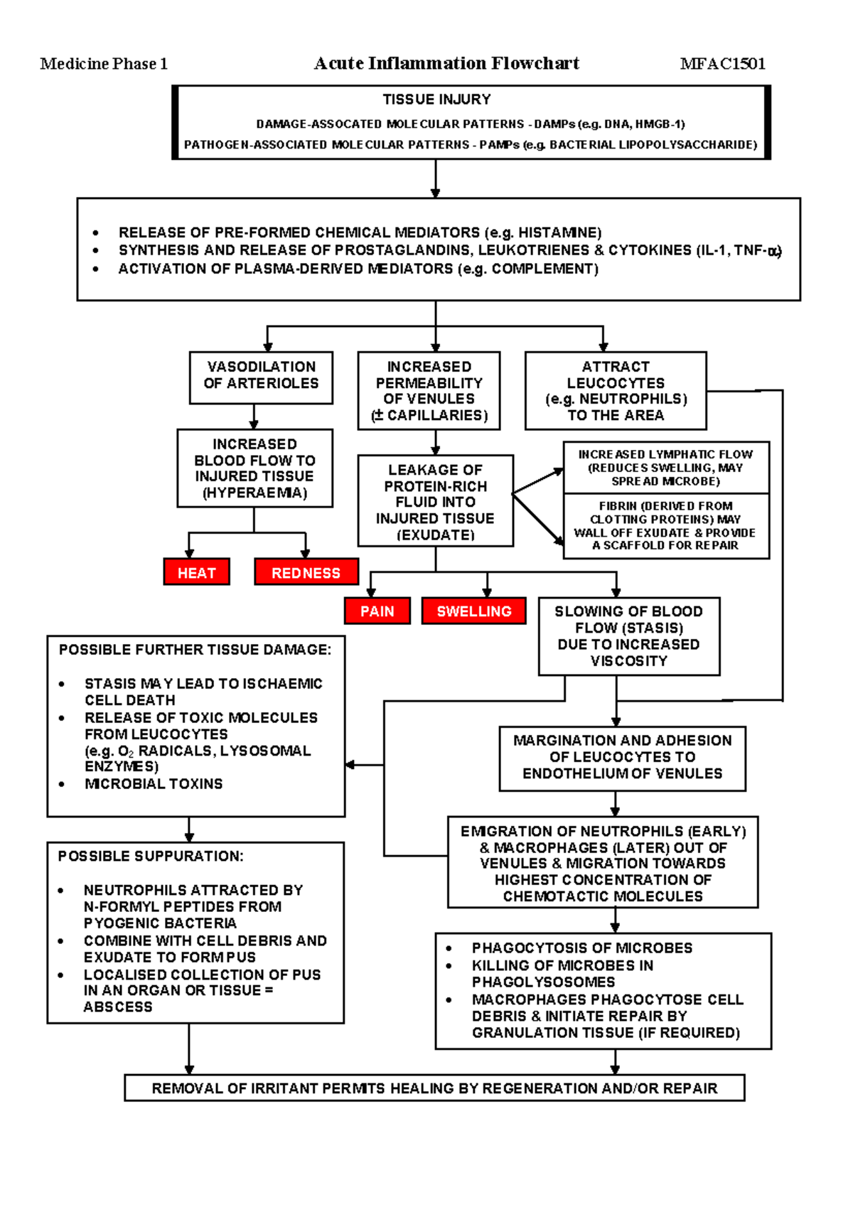 Acute Inflammation Flowchart HISTAMINE) SYNTHESIS AND RELEASE OF