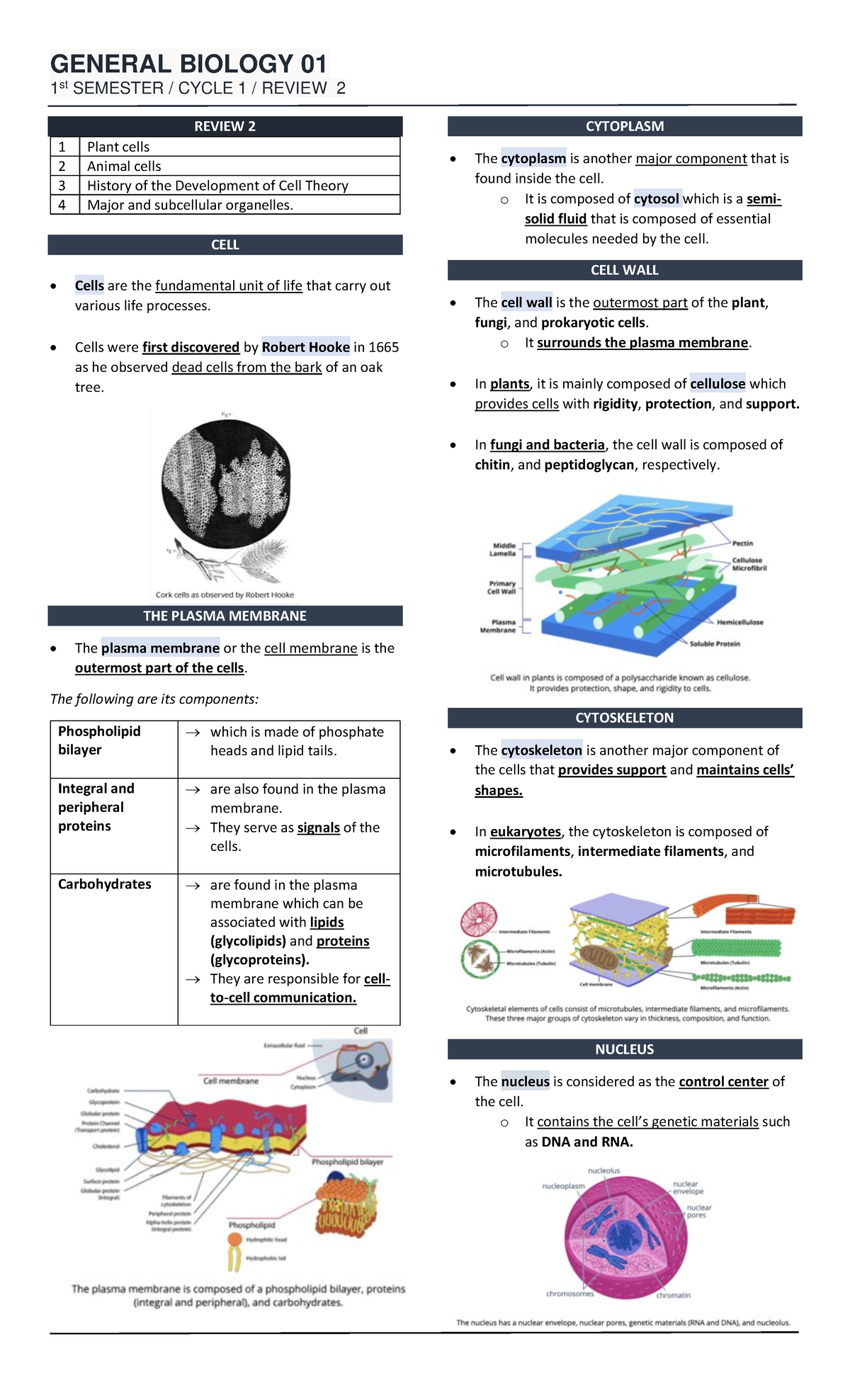 3 genbio review 2 - GENERAL BIOLOGY 01 1 st SEMESTER / CYCLE 1 / REVIEW ...