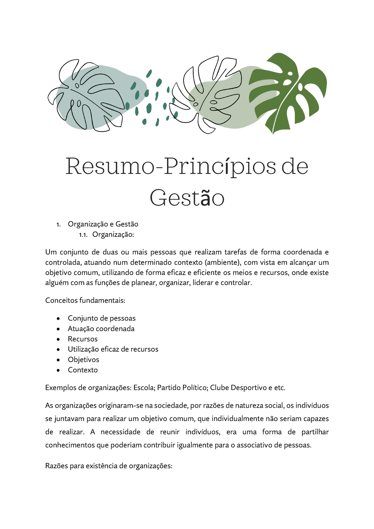 Resumoprincipios De Gestão - Resumo-PrincÌpios De Gest„o OrganizaÁ„o E ...