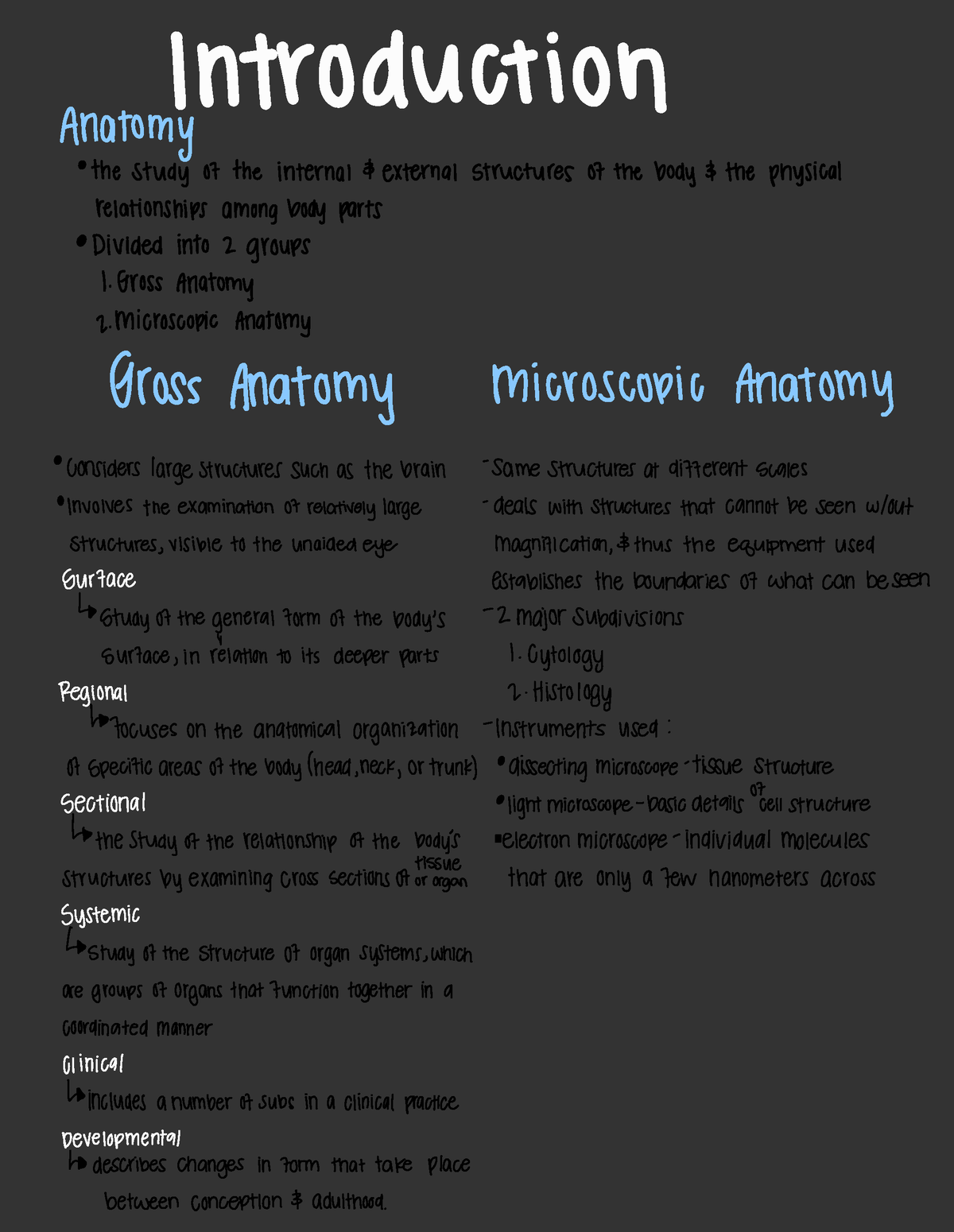 Ap Intro - Introduction Anatomy · The Study Ofthe Internal B External ...