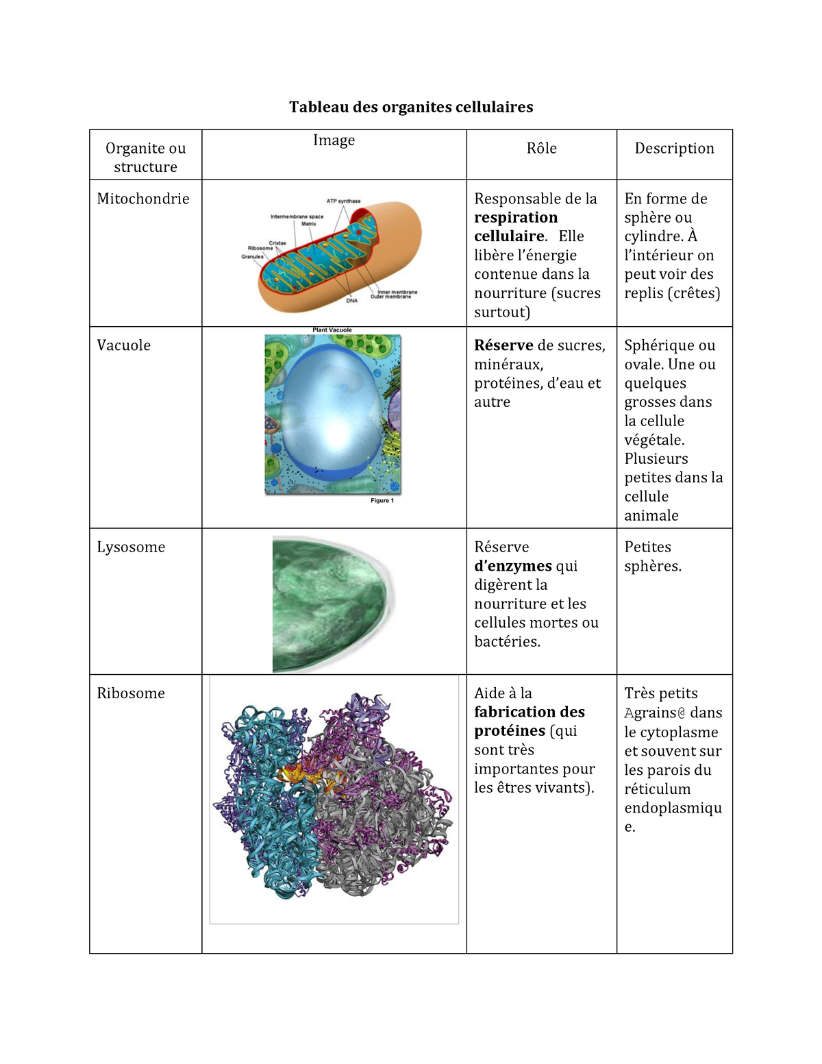 Celluloyd — Tableau de récepteurs cytosoliques-nucléaires