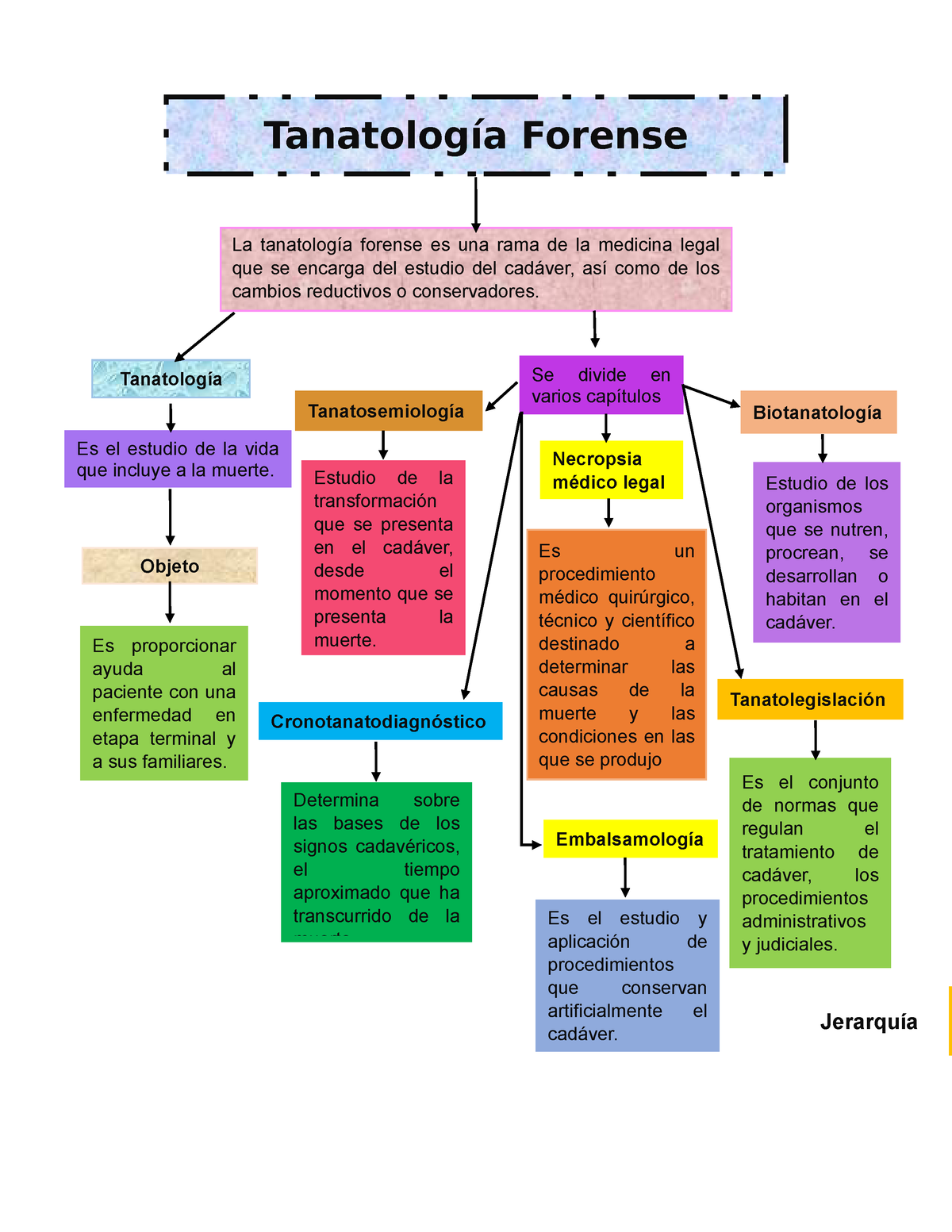 Tanatolog A Forense Mapa Conceptual Tanatolog A Forense La