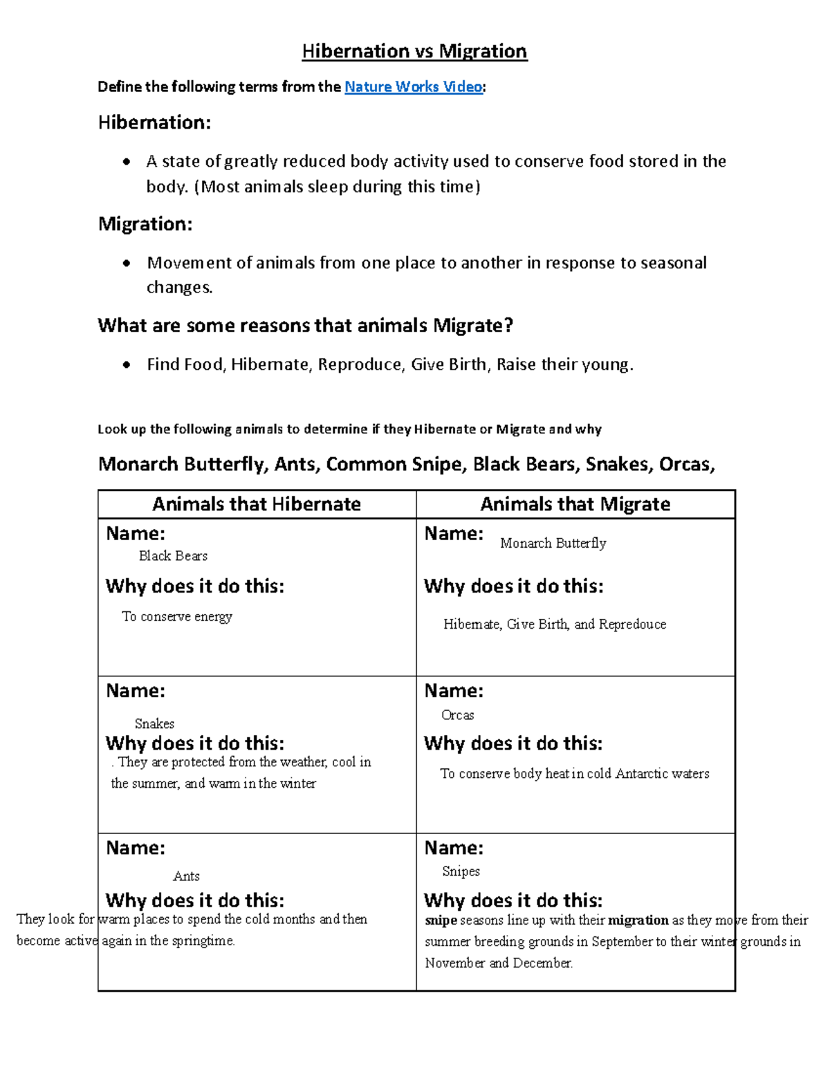 Hibernation Vs Migration Worksheet Define The Following Terms From