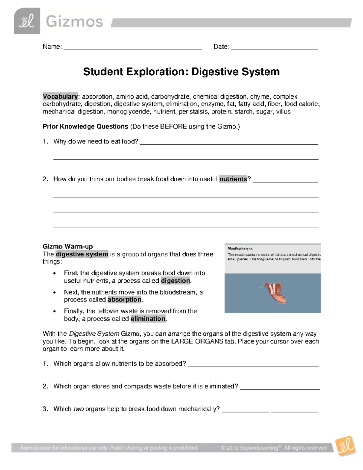 assignment for digestive system