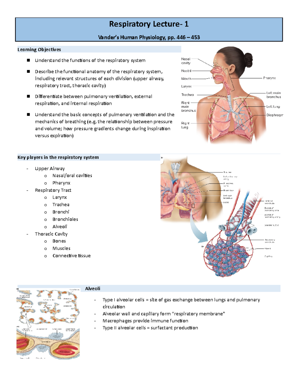 Patho- respritory 1 - Respiratory Lecture- 1 Vander’s Human Physiology ...