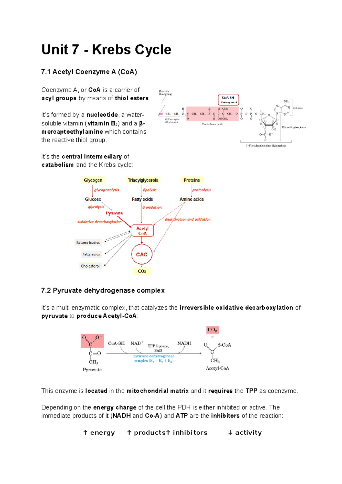 Unit 7 Krebs Cycle (ENGLISH) Unit 7 Krebs Cycle 7 Acetyl Coenzyme A (CoA) Coenzyme A, or