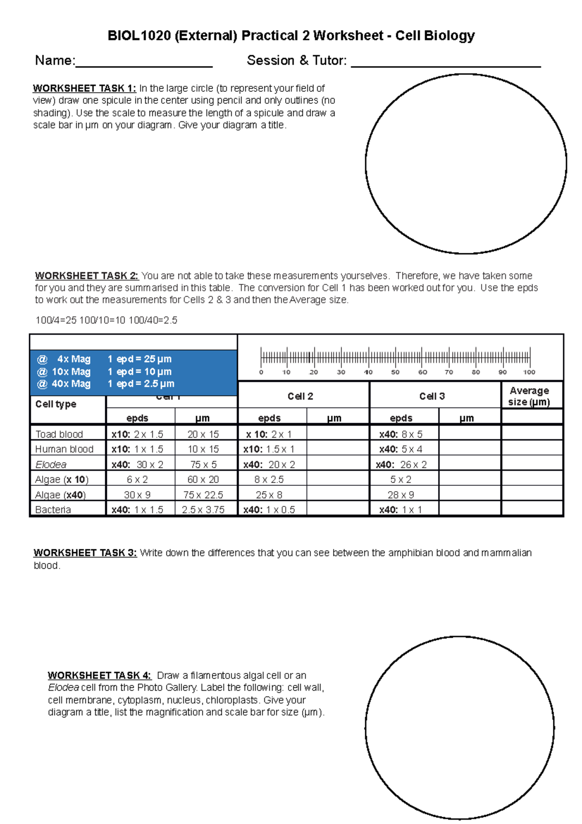 BIOL1020 Prac 2 - Microscopy Worksheet (External) - BIOL1020 (External ...