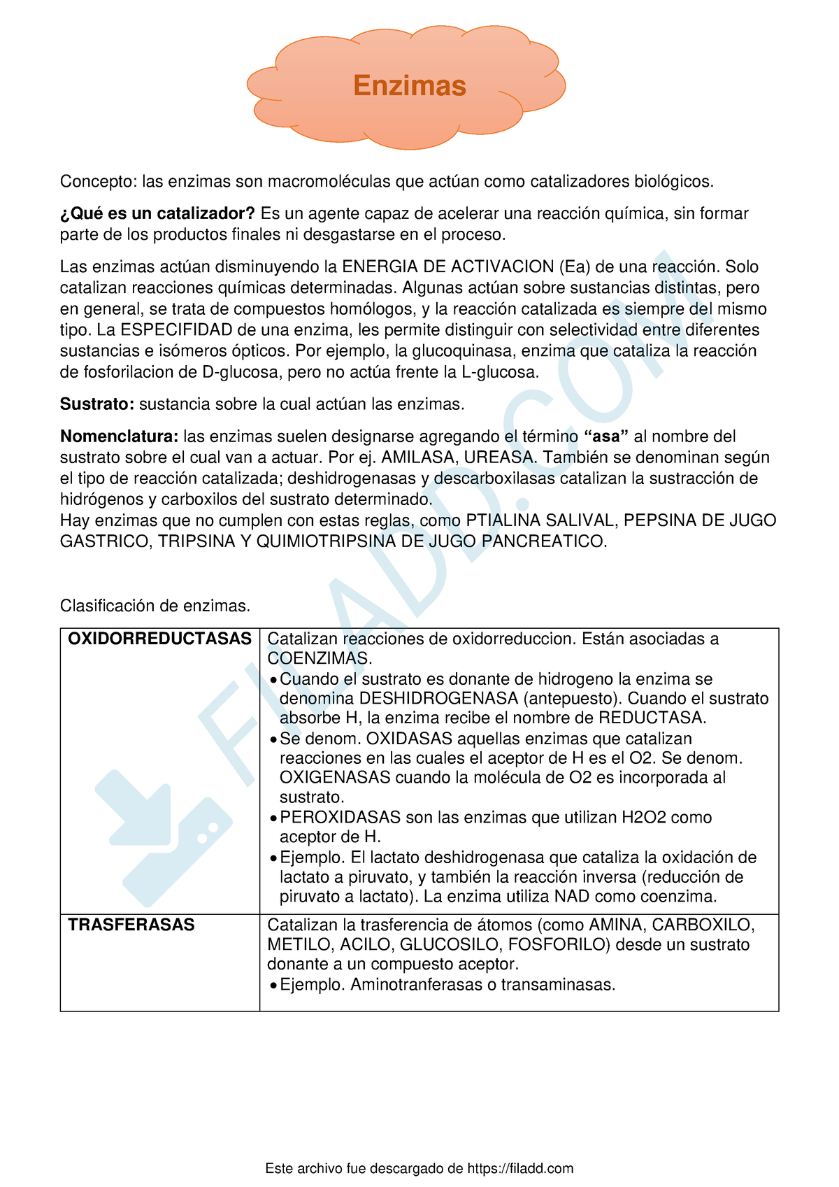 Enzimas Resumen Concepto Las Enzimas Son Macromol Culas Que Act An