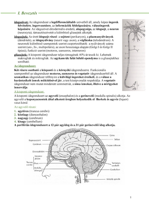 Neurologia Vazlat Summary Neurology Studocu