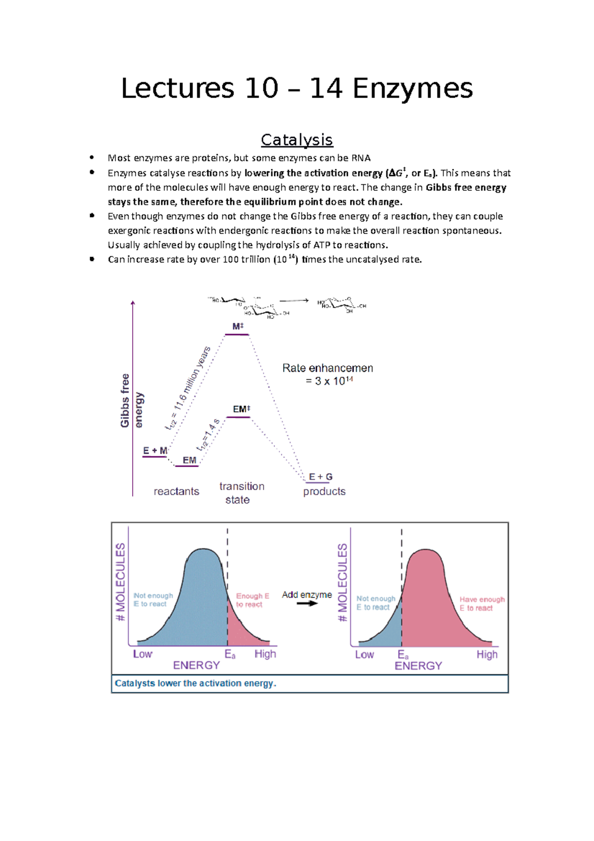 Lecture 1014enzymesandinhibitors Lectures 10 14 Enzymes