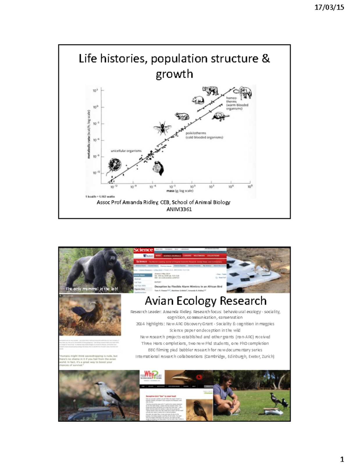 Lecture notes, lectures 7 - animal populations - Life histories ...