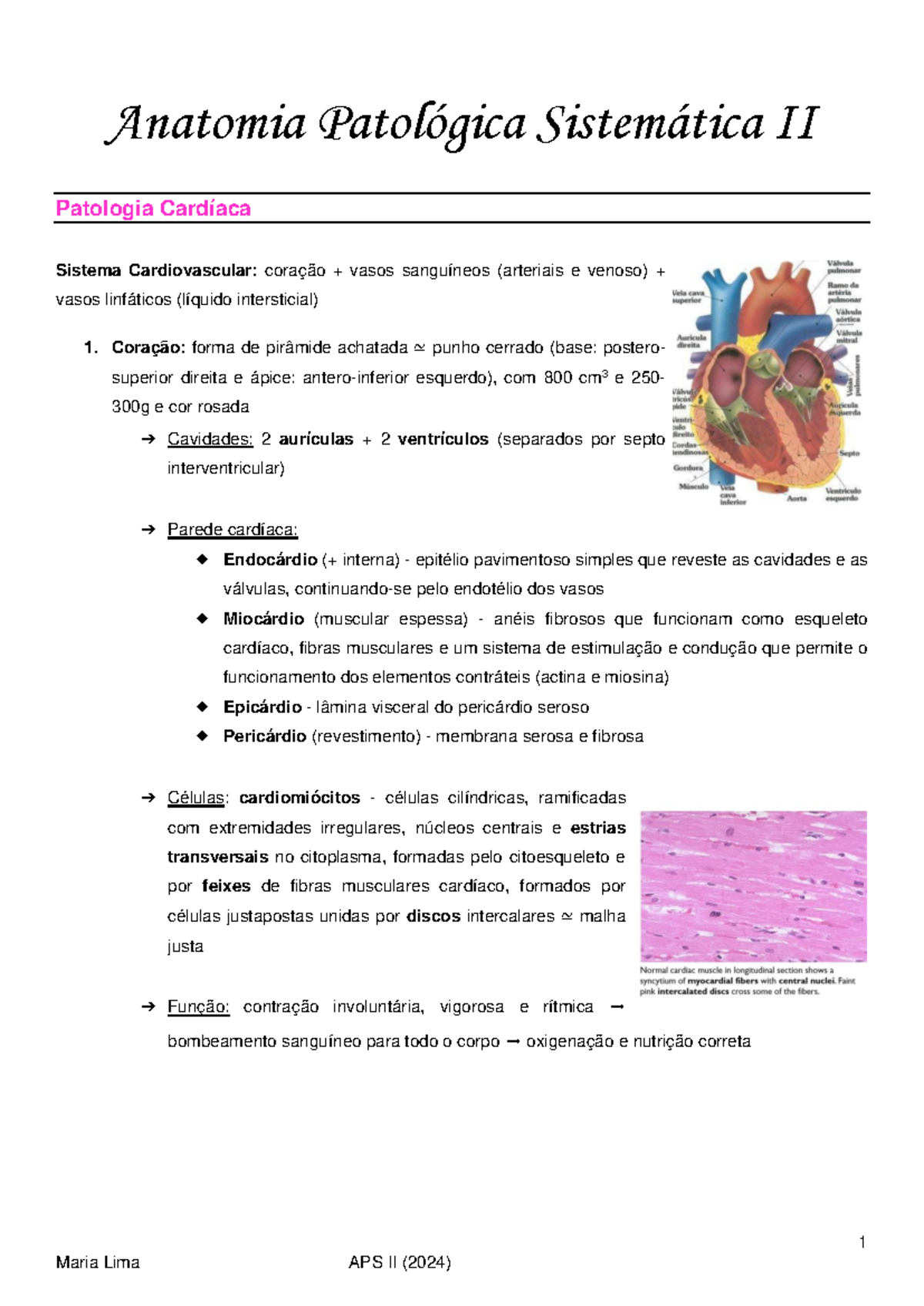 APS II Sebenta - Resumo APS II - 1 Anatomia Patológica Sistemática II ...