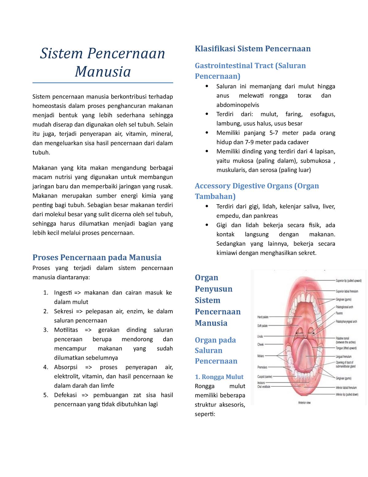 Sistem Pencernaan Manusia - Sistem Pencernaan Manusia Sistem Pencernaan ...