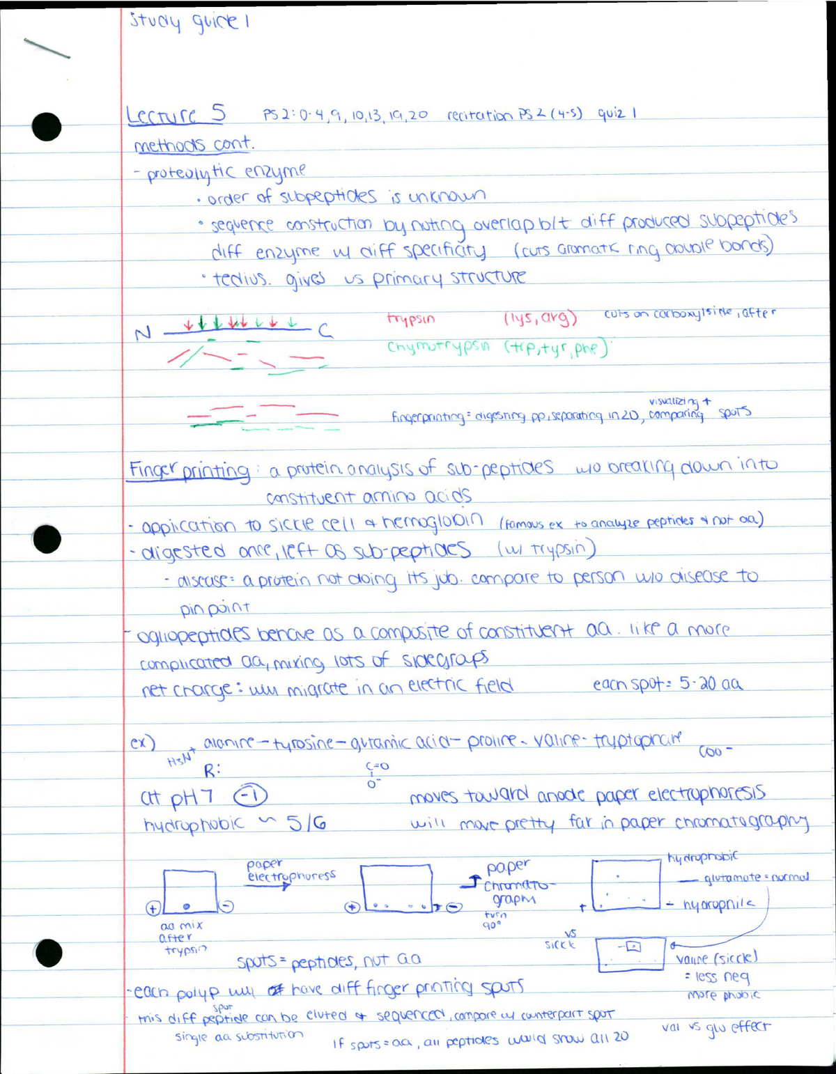 Lecture 5 - M0001 - Studocu