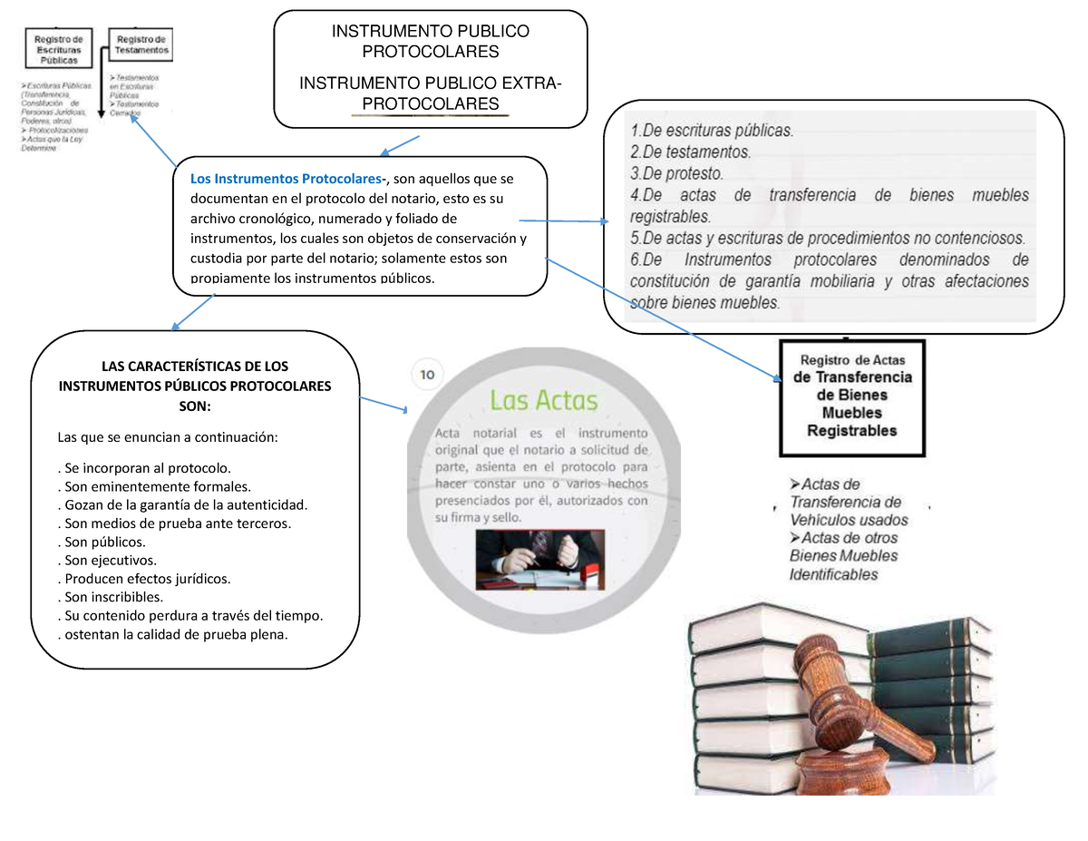 Organizador Visual De Los Instrumentos Protocolares Y Extraprotocolares Instrumento Publico