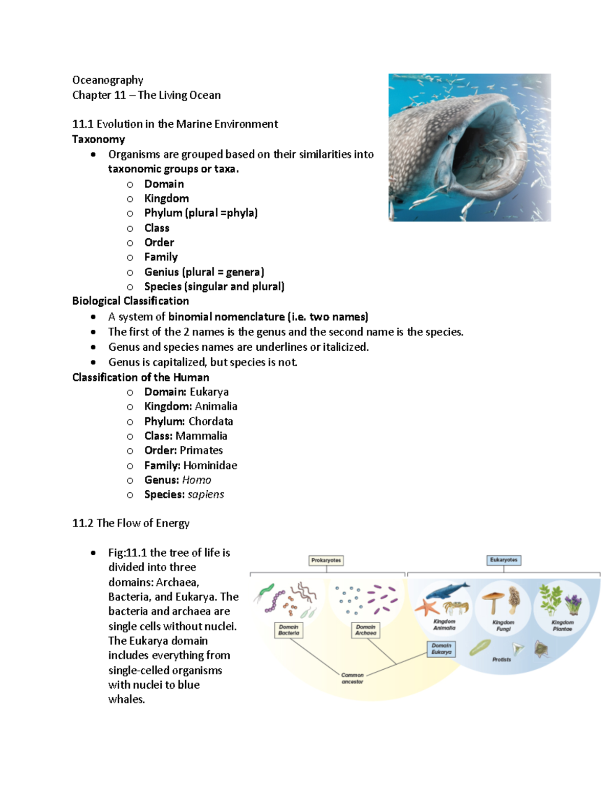 Oceanography - Chapter 11 - Oceanography Chapter 11 – The Living Ocean ...