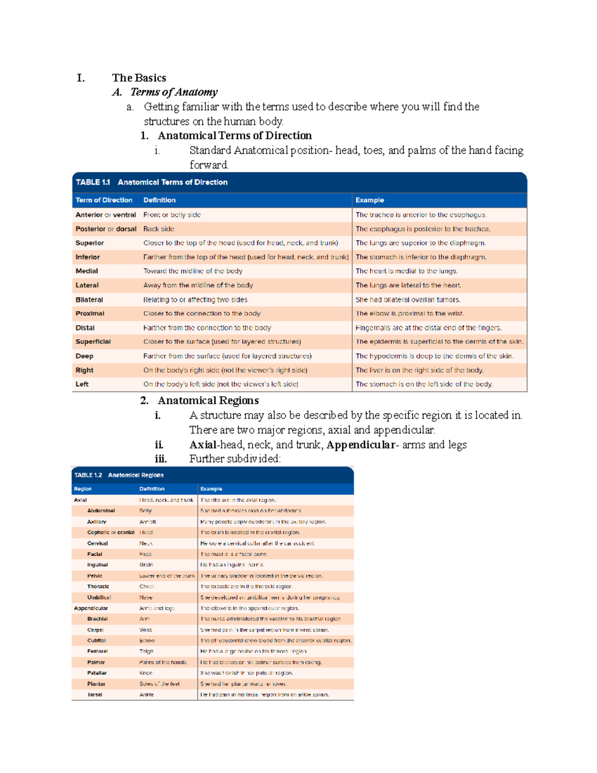 Chapter 1 outline - I. The Basics A. Terms of Anatomy a. Getting ...