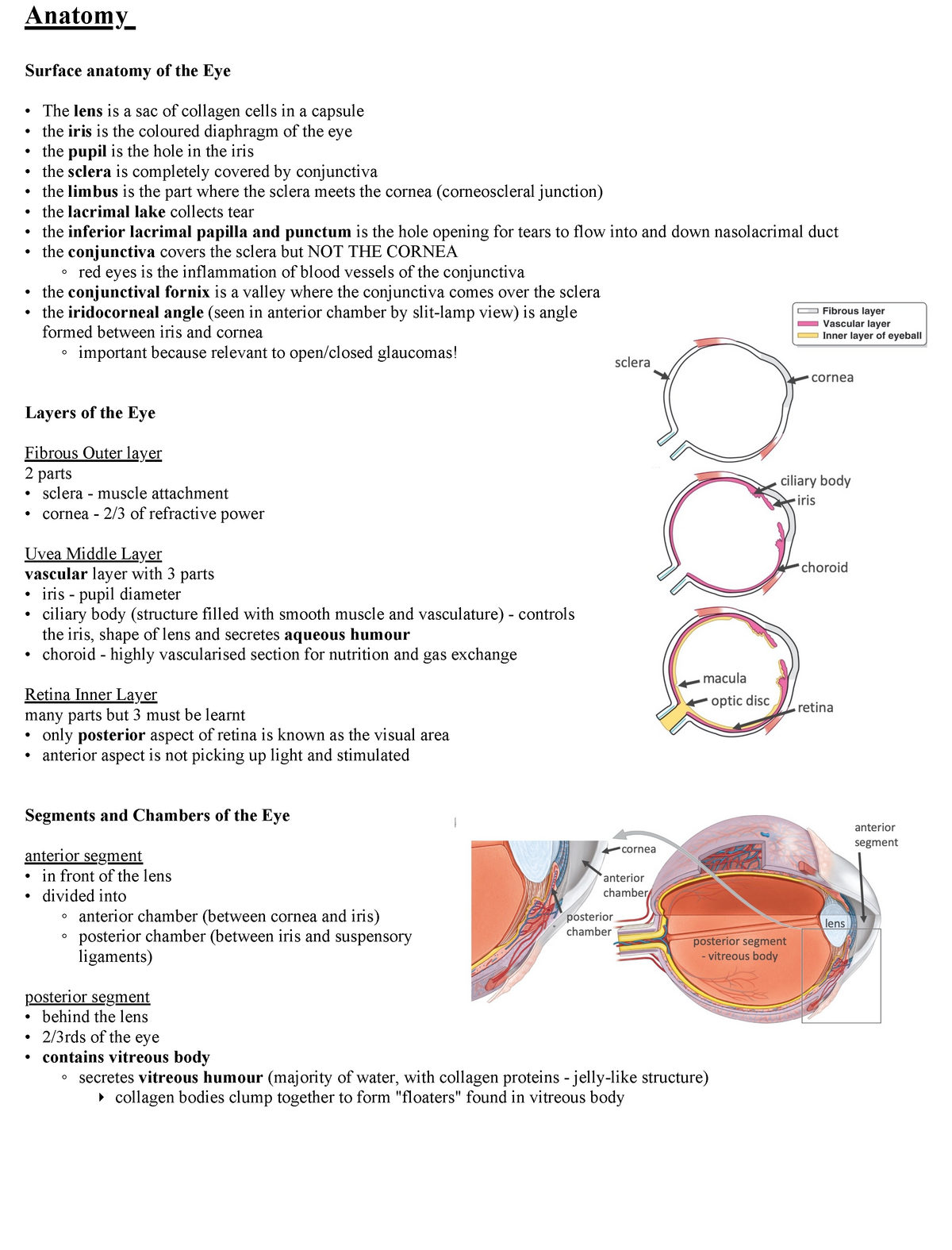 Opthal. Summary - Anatomy - Anatomy Surface anatomy of the Eye The lens ...