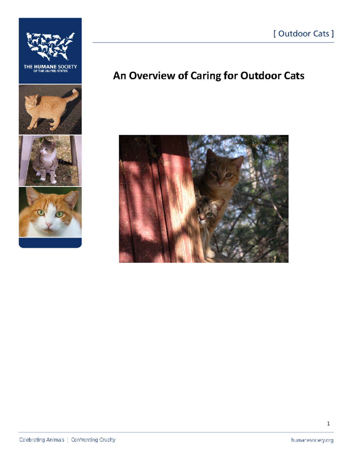 Caring community cats overview An Overview of Caring for Outdoor Cats