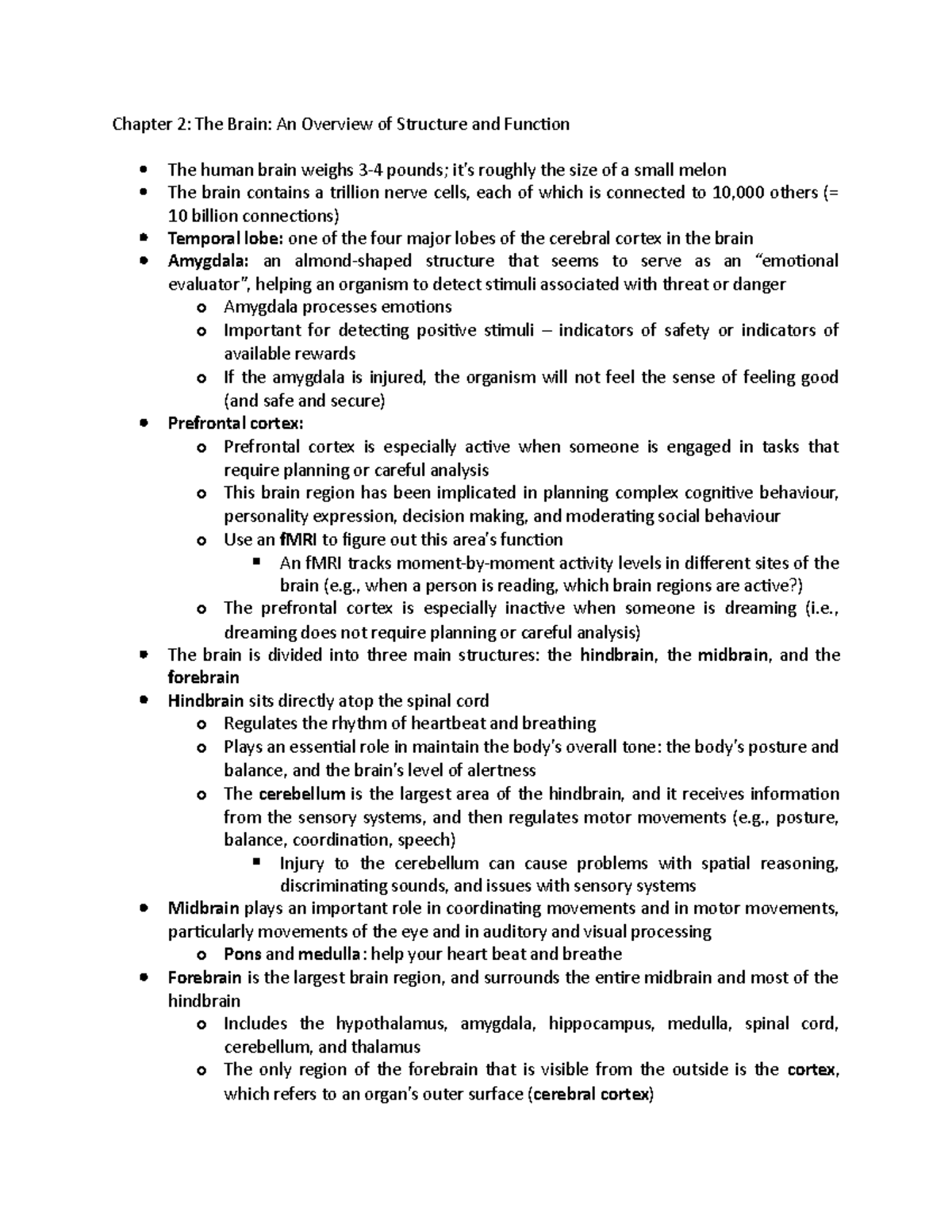 chapter-2-chapter-2-the-brain-an-overview-of-structure-and-function