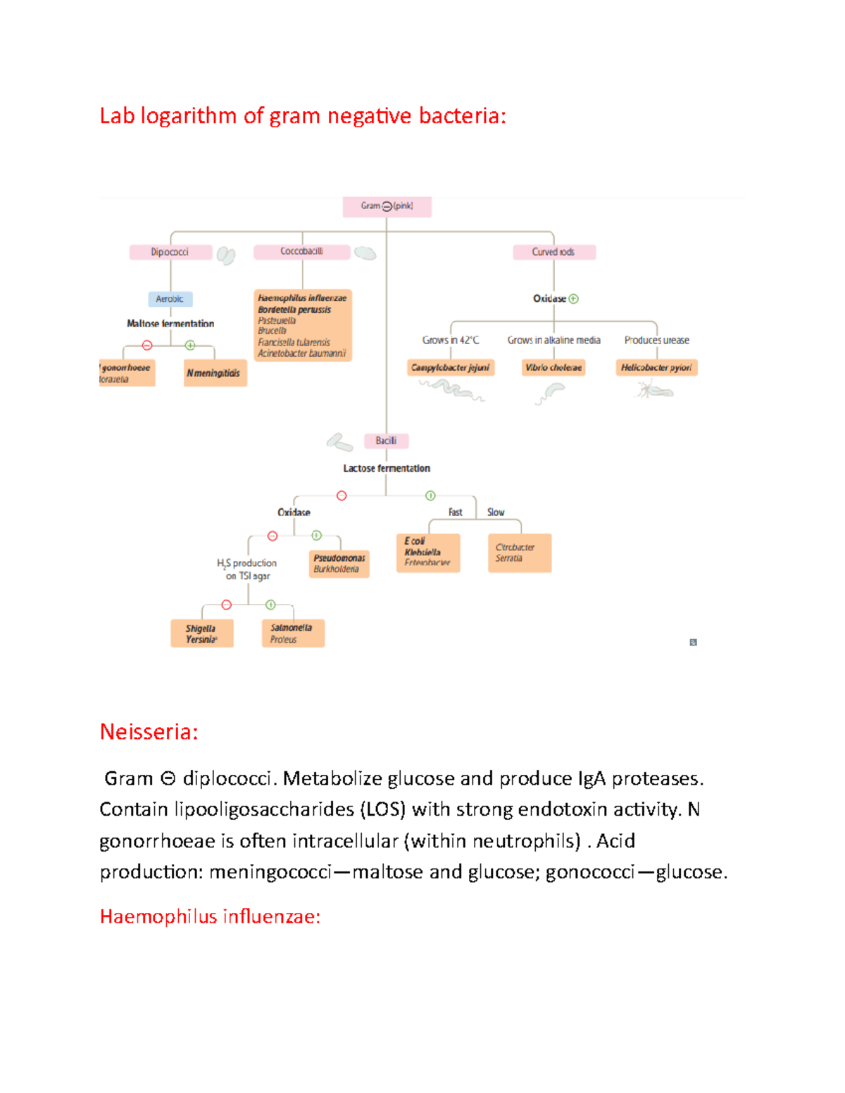 Lab logarithm of gram negative bacteria Lab logarithm of gram