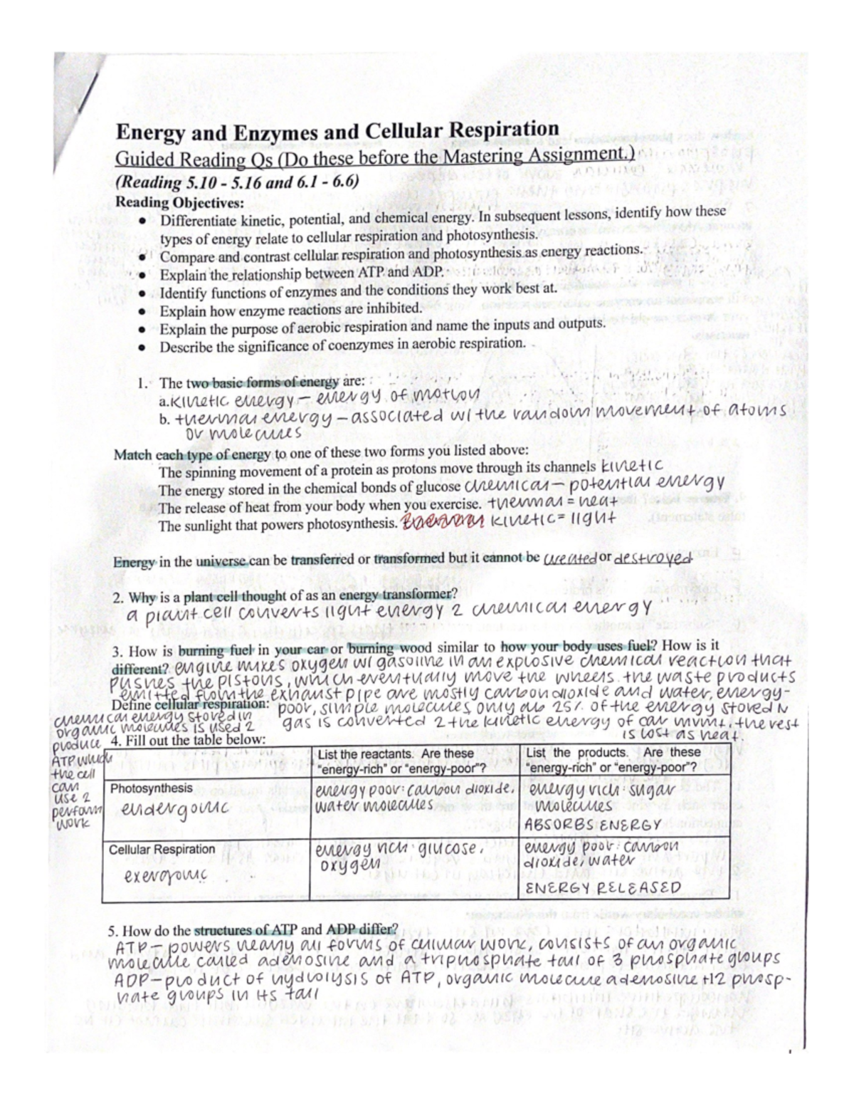 Energy and Enzymes and Cellular Respiration 2 - BIOL 101 - Studocu