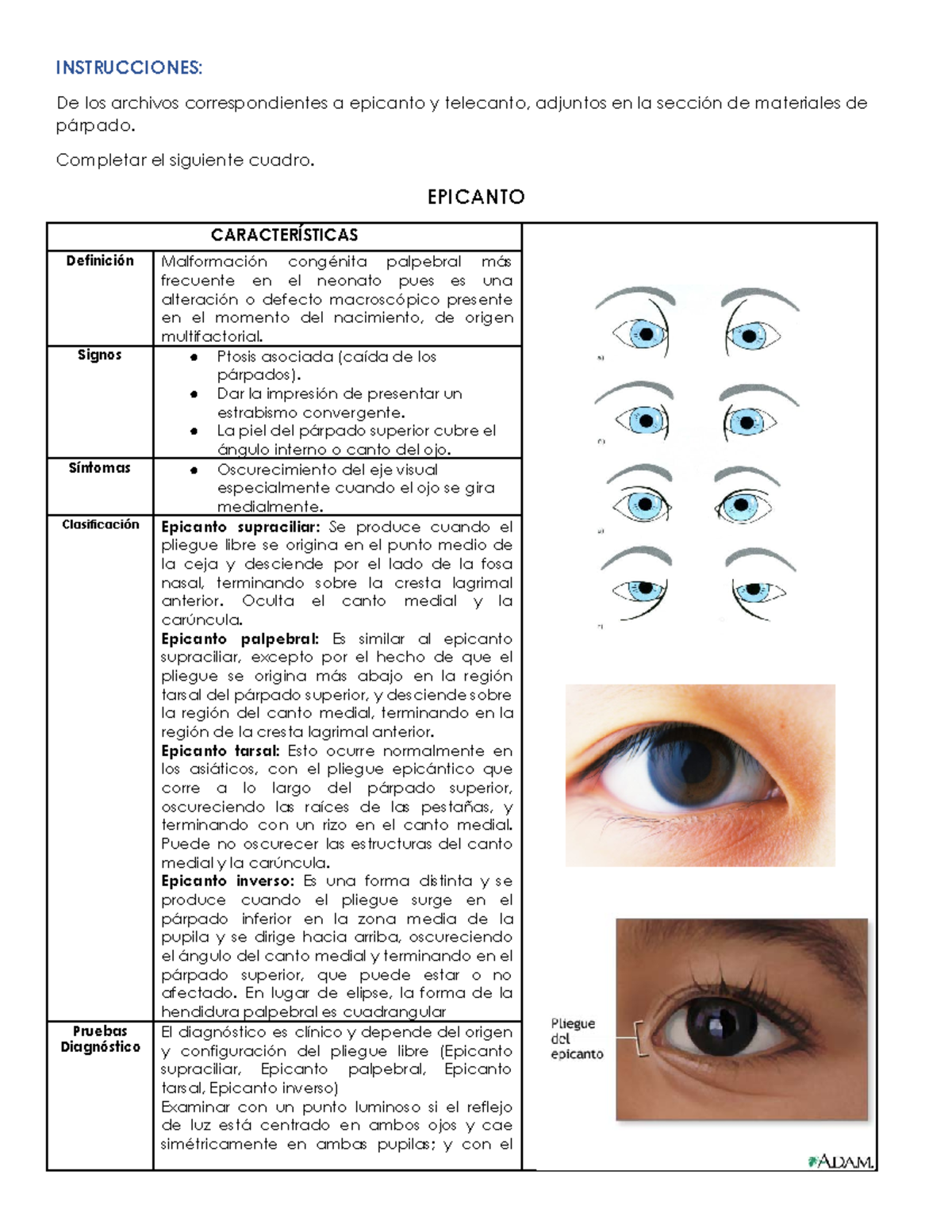 Pliegue Epicántico Vs Ojo Normal