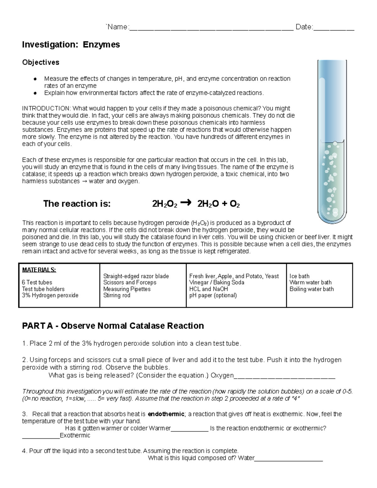 catalase reaction