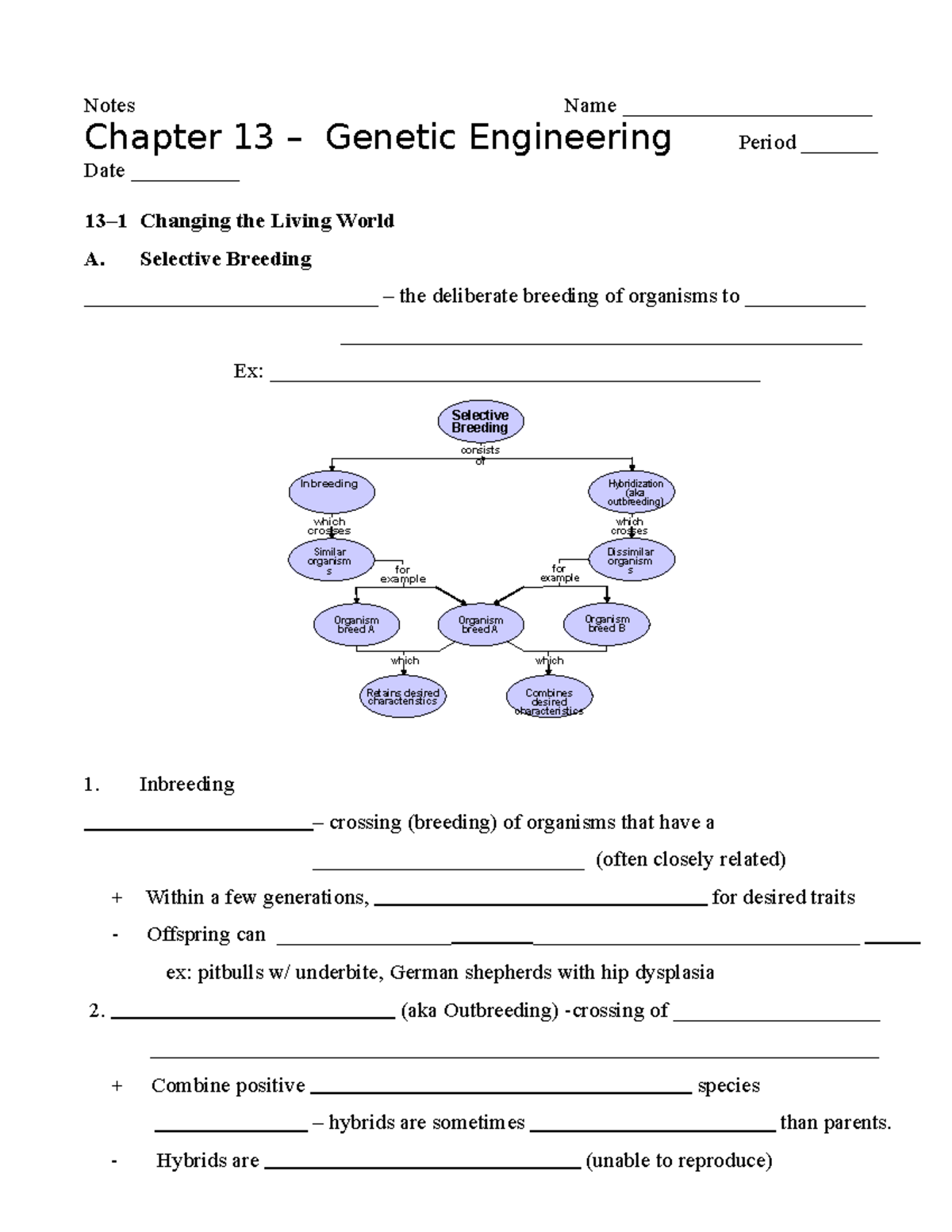 Ch 13-Student Notes - crosseswhich consists of Selective Breeding ...