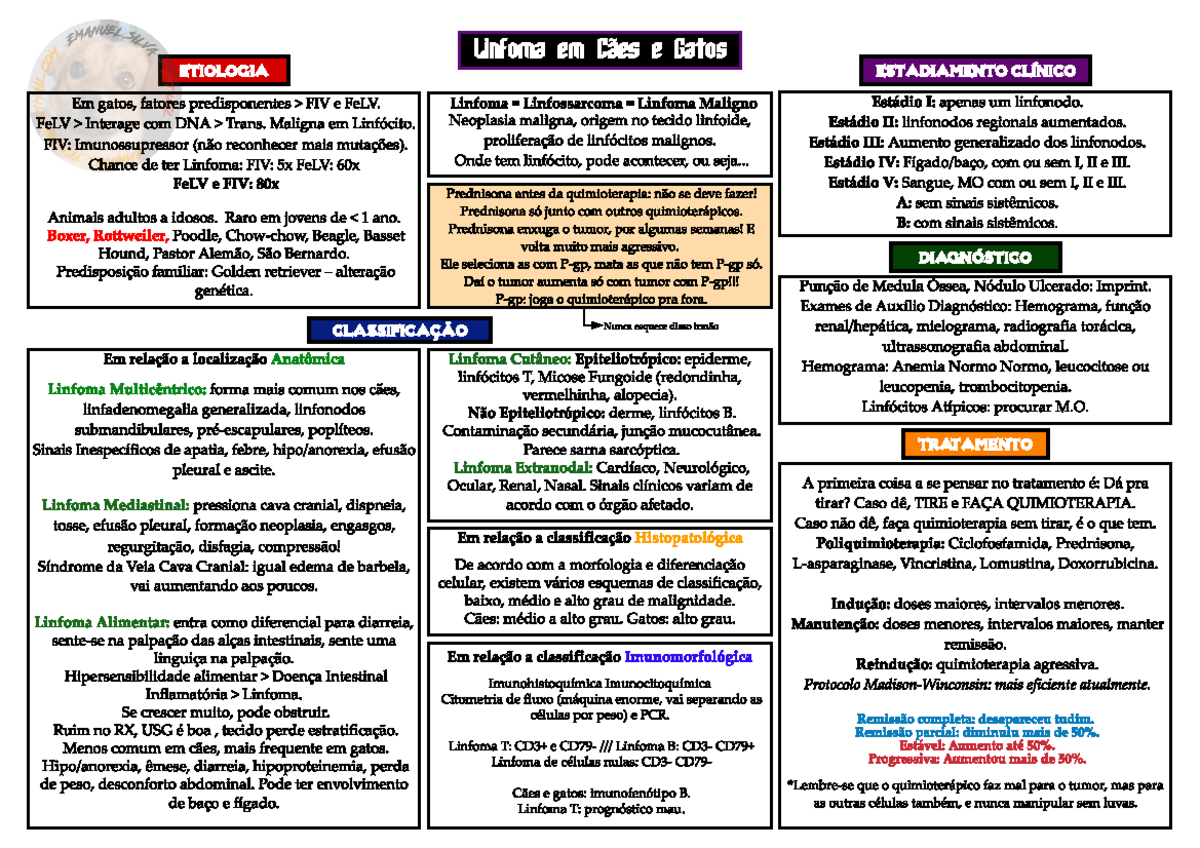 Linfoma Em Caes E Gatos 6vet021 Studocu