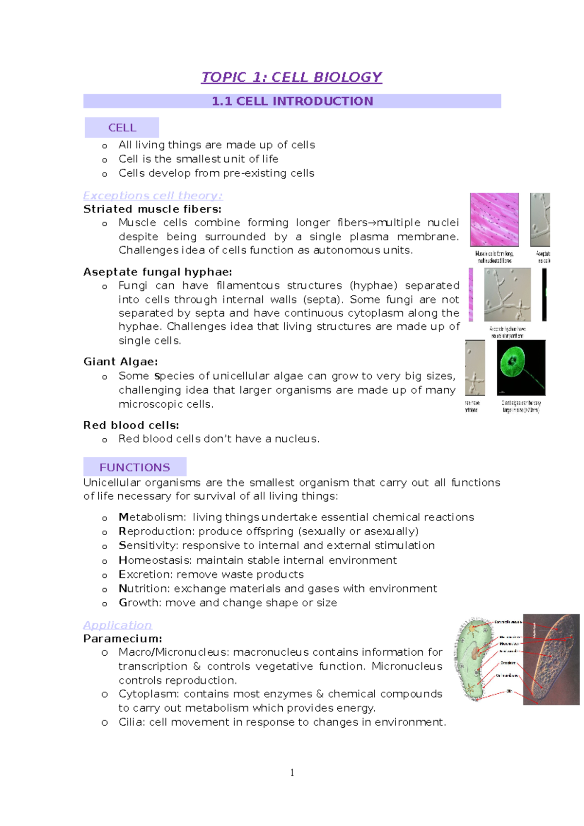 CELL Biology - TOPIC 1: CELL BIOLOGY 1 CELL INTRODUCTION O All Living ...