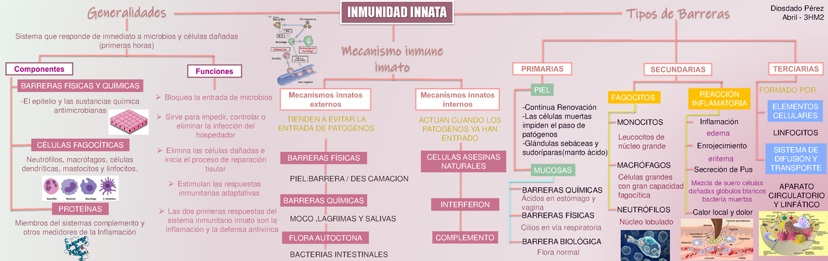 I Nmunidad Innata - Mapa conceptual - INMUNIDAD INNATA Sistema que responde  de inmediato a microbios - Studocu