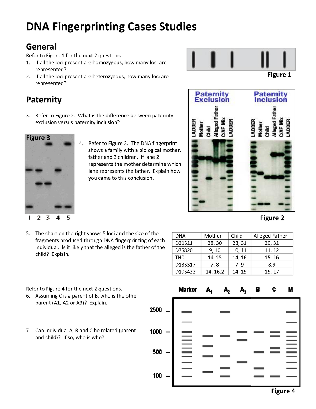 dna-fingerprinting-and-paternity-worksheet-answer-key-dna-fingerprinting-coloring-worksheet