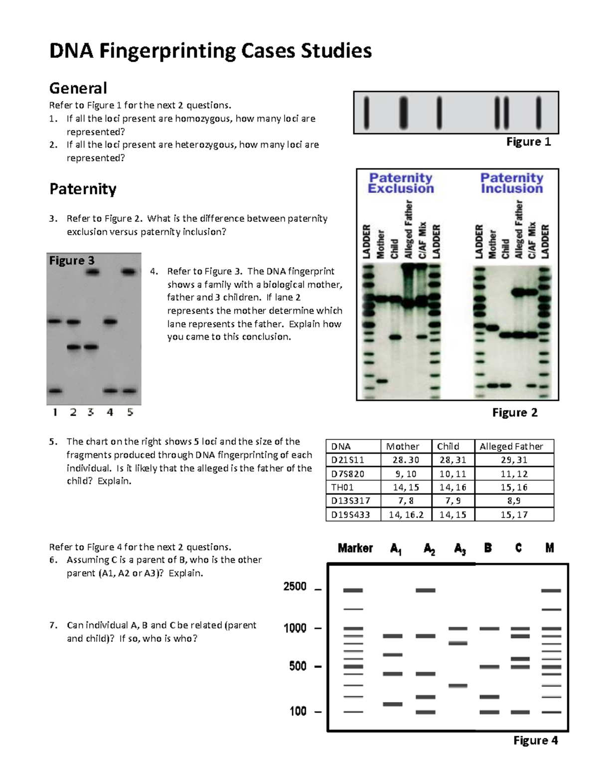 Dna Fingerprinting And Paternity Worksheet Answer Key DNA Fingerprinting Coloring Worksheet 