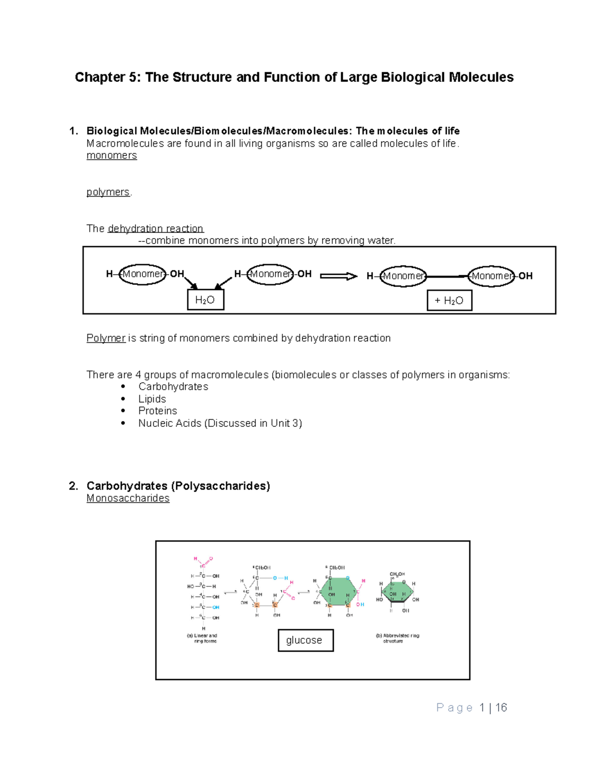 Ch 5 Notes & HW summer 2016 Chapter 5 The Structure and Function