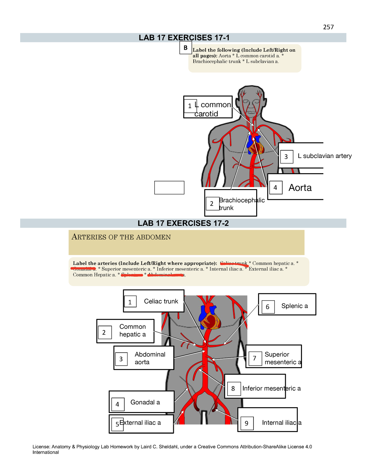 assignment 2 week 5 cardiovascular activity